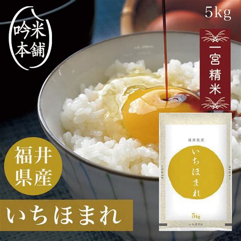 新米 米 お米 いちほまれ 5kg 福井県産 送料無料 一宮精米 令和4年産 激安商品