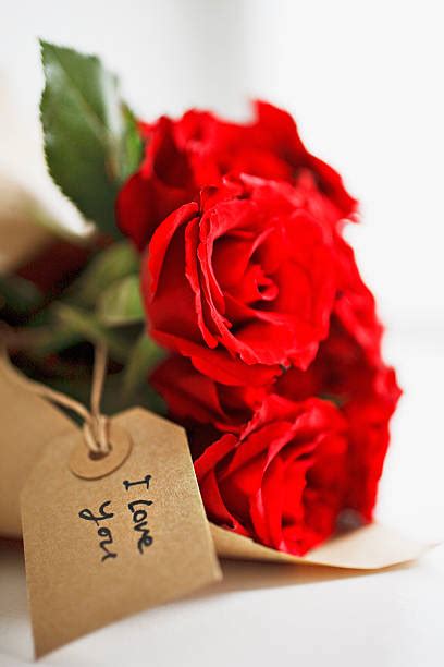 I Love You Rose Stock Photos Pictures And Royalty Free Images Istock