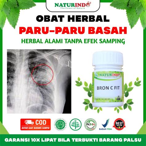 Jual Obat Paru Paru Basah Kering Herbal Obat Batuk Berdarah Tbc Asma