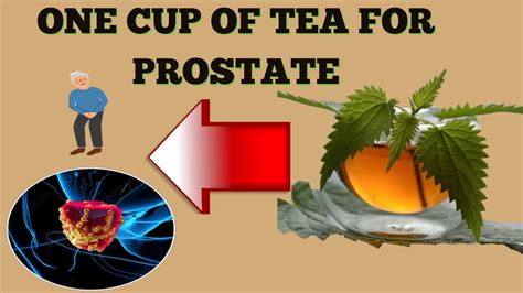 Stinging Nettle A Natural Ally For Prostate Health Youtube