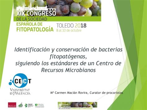 PDF Identificación y conservación de bacterias fitopatógenas sef