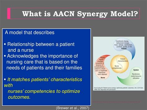 Aacn Synergy Model For Patient Care