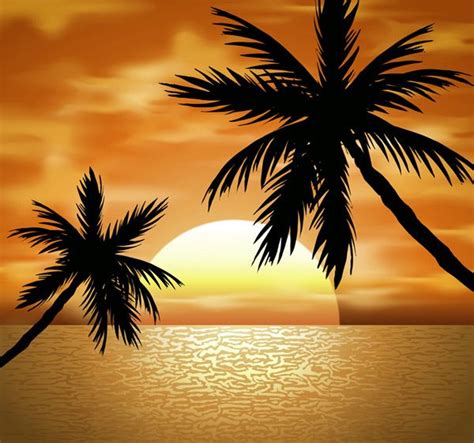 Sunset Palm Tree Drawing Easy