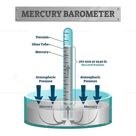 Mercury barometer vector illustration - VectorMine