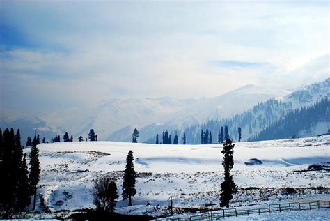 Gulmarg, Kashmir Photograph by Jaybee - Fine Art America