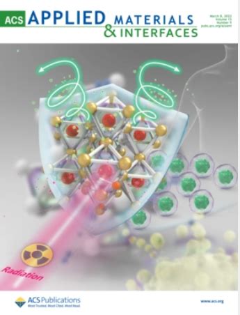 Acs Applied Materials Interfaces