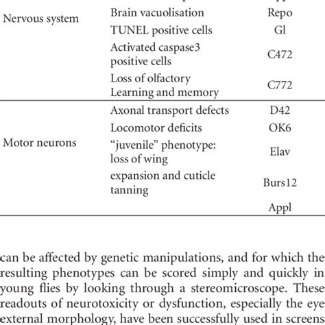 Readouts Of Tau Toxicity In Drosophila Download Table