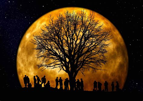 Moon Tree – Weeast Family Genealogy Website