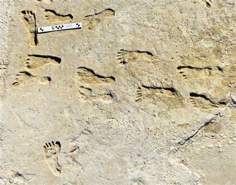 New Radiocarbon Dating Confirms Age Of Year Old Human Footprints