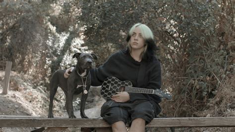 Billie Eilish Dog Shark