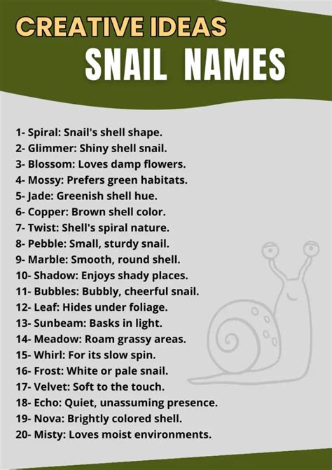 240+ Snail Names With Meanings [Creative Ideas]