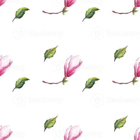 Acuarela Magnolia Sin Costura Modelo 22787008 Png