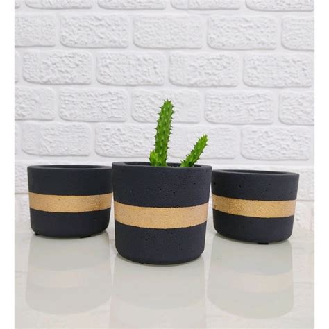 Kit Vaso De Planta Decorativo De Cimento Cm Para Suculentas Cactus