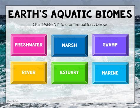 Aquatic Biomes Activity For Google Classroom By Teach Simple