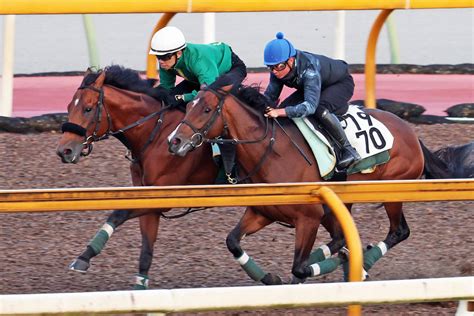 【宝塚記念・2週前追い切り】ベラジオオペラはウッドの3頭併せでラスト11・2秒 ジャスティンパレスは6ハロン80・9秒 競馬ニュース・特集