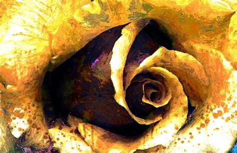 His Majesty Rose Digital Art By Carrie OBrien Sibley Fine Art America