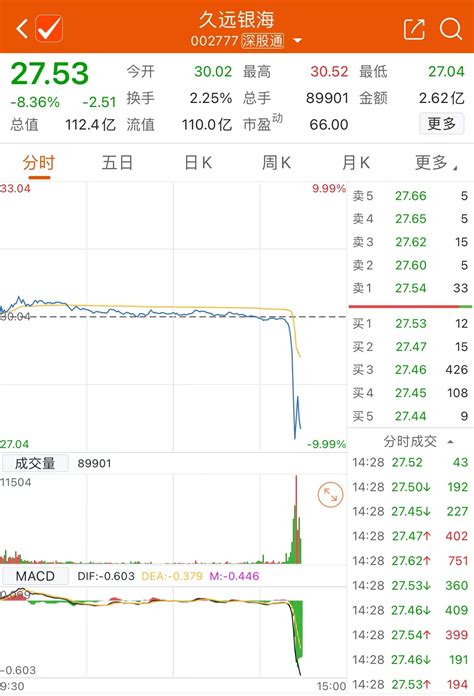 久远银海盘中闪崩跌停 市场 上海证券报·中国证券网