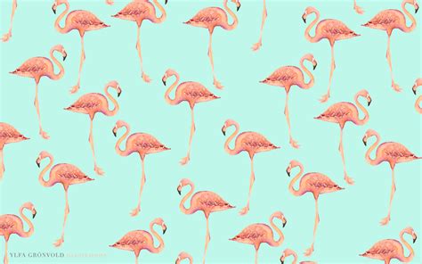 Flamingo HD Backgrounds | PixelsTalk.Net