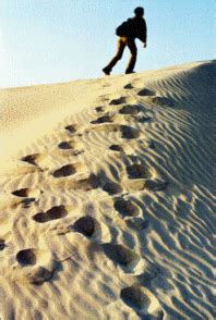 power  survival ekoeriyanah