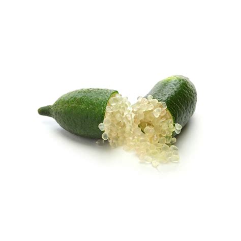 Buy Caviar Lime Online Now - Rare Exotic Fruit, UK Delivery – Exotic Fruits