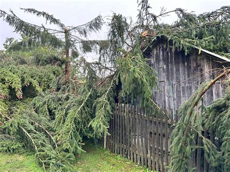 Unwetter bei Schleusingen Baum stürzt auf Bungalow Hildburghausen