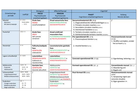 Schema Fases Stadia Schema Verschillende Stadia Ontwikkelings