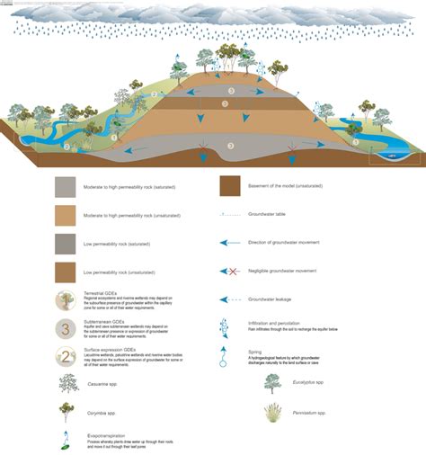 Pictorial Conceptual Models Of Groundwater Dependent Ecosystems