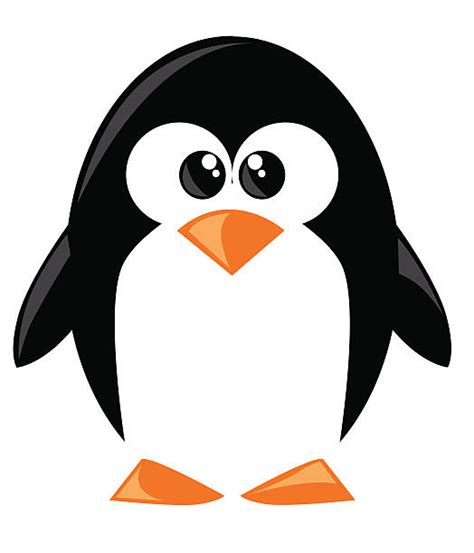 Penguin Clip Art, Vector Images & Illustrations - iStock