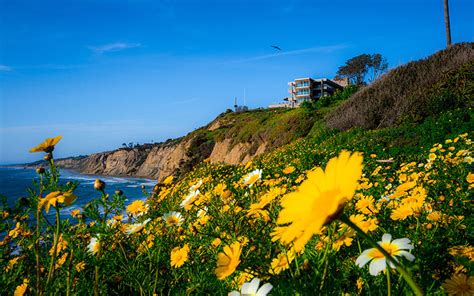 Scripps Oceanography Welcomes Nine New Faculty and Researchers | Scripps Institution of Oceanography