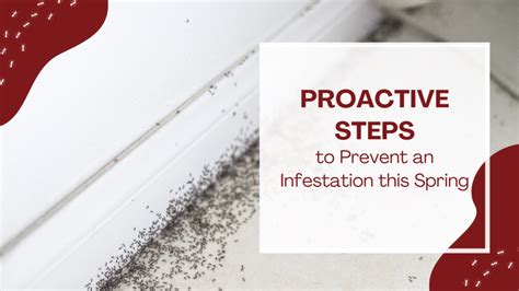 Proactive Steps to Prevent an Infestation this Spring | Vogelsang Pest ...