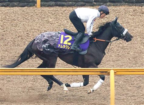 【高松宮記念】ナムラクレアは同舞台の前走を勝って本番へ 長谷川調教師「フォーム見直して結果出してくれた」 Umatoku 馬トク