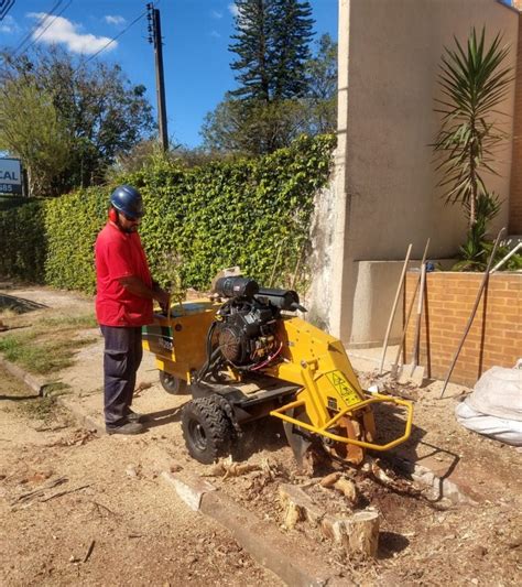 Empresa Especializada Em Poda De árvore Em Campinas Juruna