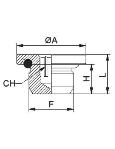 Ax Or Bouchon Pans Creux Mle Cylindrique Avec Joint Bspp Aera