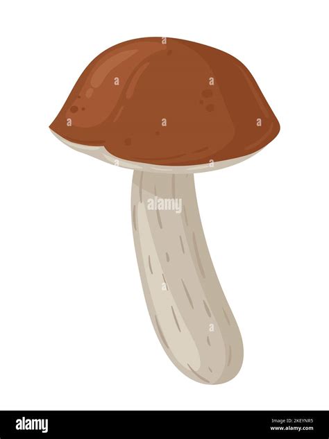 Cartoon Birch Mushroom Seasonal Organic Food Autumn Forest Plants