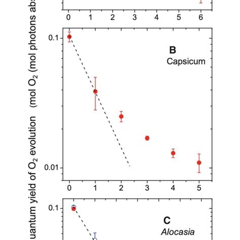 Semi Log Plots Of The Decrease In The Quantum Yield Of O Evolution