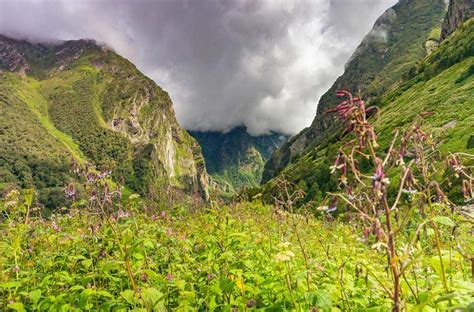 Ecotourism In India: A Journey Through Unique Landscapes - Treebo Blog