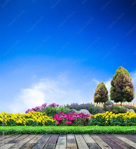 Beautiful garden on blue sky, Flower garden Stock Photo | Adobe Stock