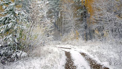 Владимир Федосеев (fedoseev1952) Profile / 500px