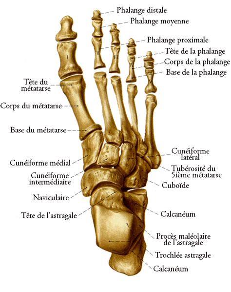 Hallux Valgus Centre Orthopédique Pasteur Lanroze