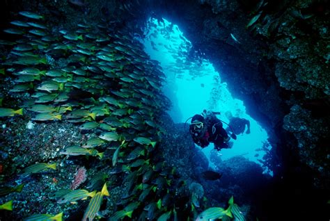 Ultimate Adventure Bucket List Dive Cocos Island Costa Rica