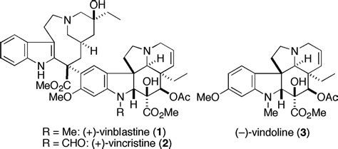 Pharmacognosy Of Vinca Alkaloids Periwinkle Notes