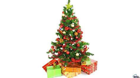 Christmas Tree Hd Wallpapers Top Free Christmas Tree Hd Backgrounds