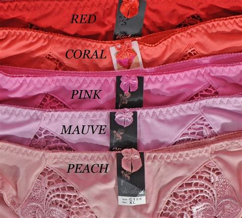 B1 VTG Embroidered Floral LACE Nylon Sissy Bikini Panties S M L XL 2XL