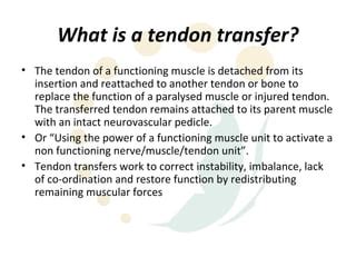 Principles Of Tendon Transfers Ppt