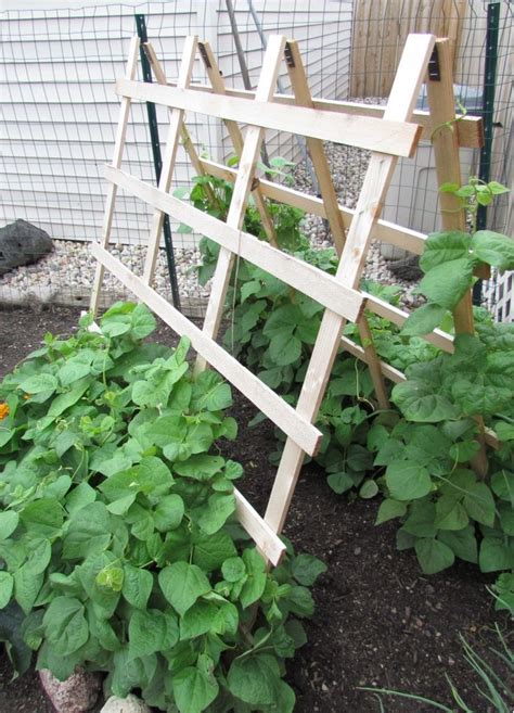 This Years Garden Part 1 Green Beans Garden Bean Trellis Growing