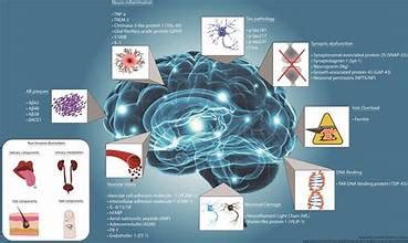 Pharmacogenomics|Genomics & Informatics Lab