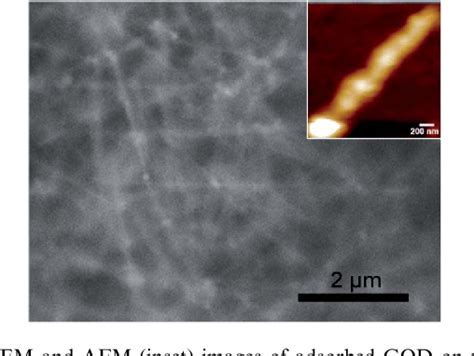 Figure From Hydrogen Peroxide And Glucose Biosensor Based On Silver