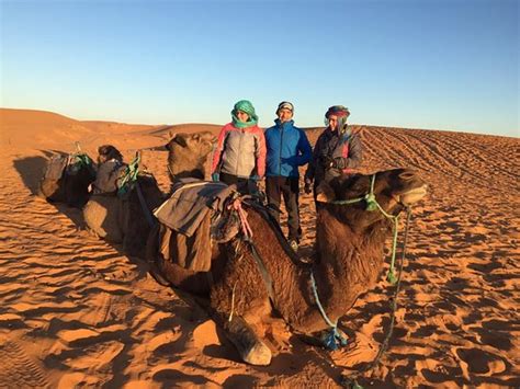 Merzouga Camel Trekking Day Tours Qu Saber Antes De Ir Lo