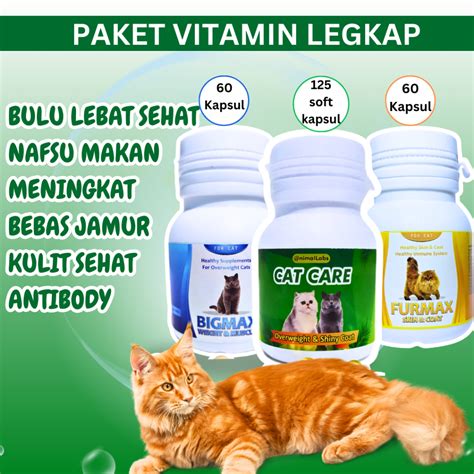 Jual Vitamin Kucing Penggemuk Kucing Vitamin Bulu Kucing Rontok Kusam