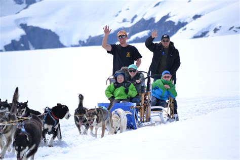 Alaska Icefield Expeditions Skagway Alaska Alaska Dog Dog Sledding